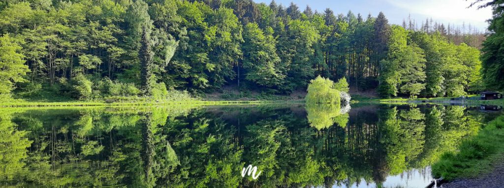 Naturauszeit Wiesbaden